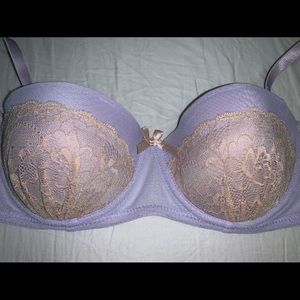 Gi Blue and Pink Bra